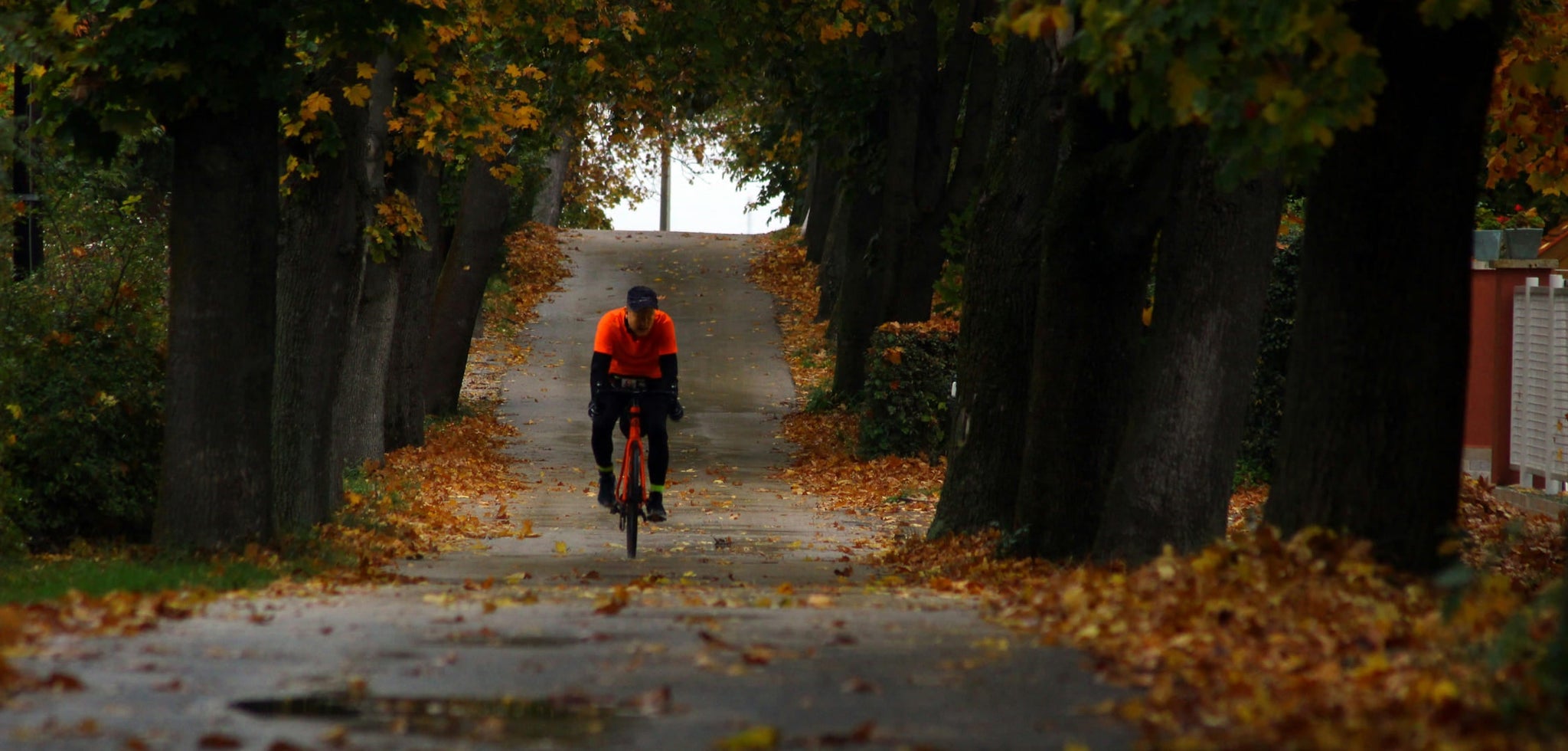 Grateful Rides: How eBikes Help Us Rediscover the Joy of the Journey