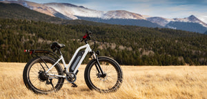Expanding US Tax Benefits Boost Electric Bike Accessibility